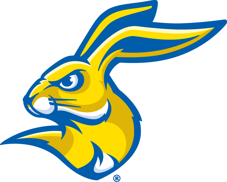 South Dakota State Jackrabbits 2008-Pres Partial Logo v2 diy DTF decal sticker